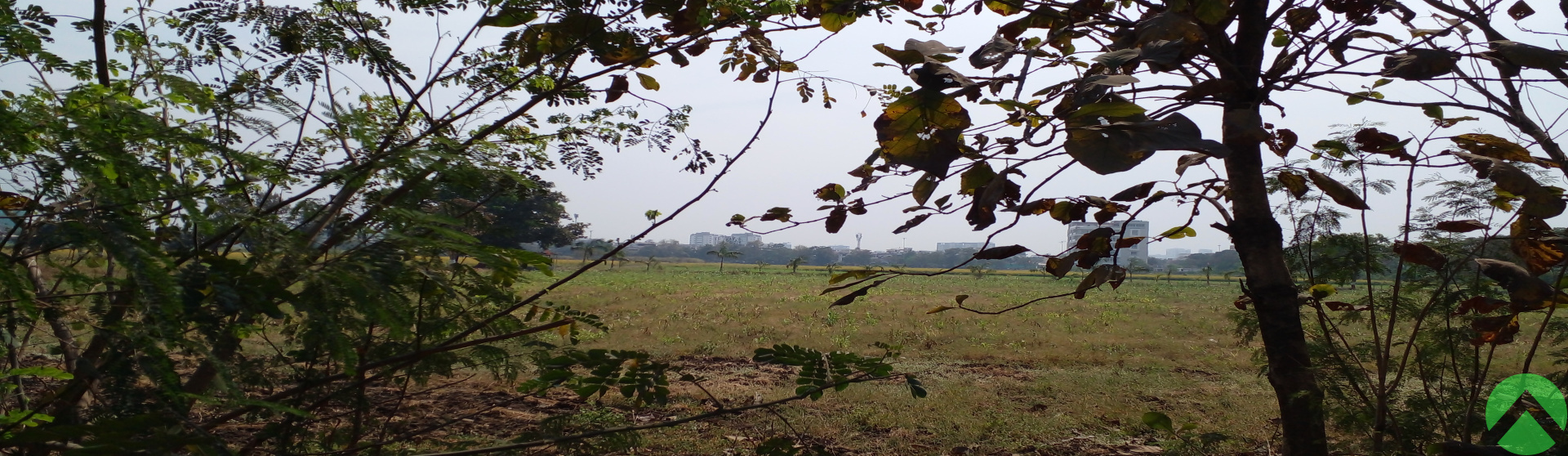 Vesu canal road, ,Land/Plot,Land-Sell,1355