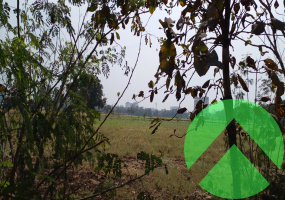 Vesu canal road, ,Land/Plot,Land-Sell,1355