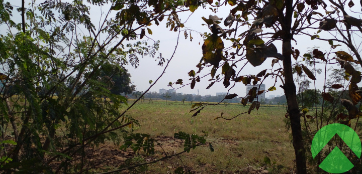 Vesu canal road, ,Land/Plot,Land-Sell,1355