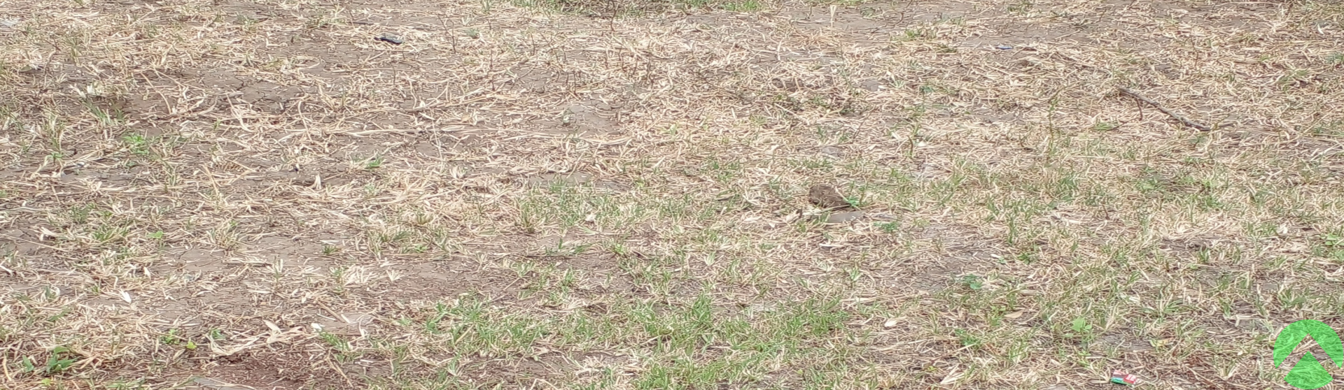 Navsari, ,Land/Plot,Land-Sell,1378